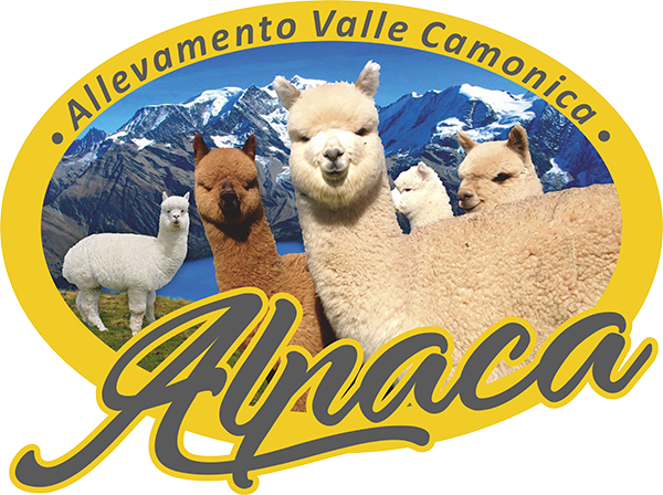 Allevamento Alpaca Valle Camonica